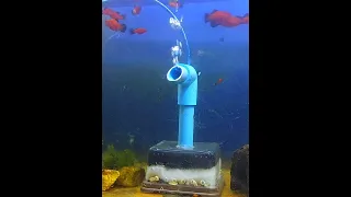 sponge filter DIY / aquarium filter