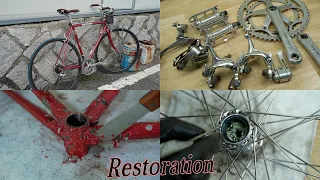Restoration - 1984 Japan made MIYATA Bicycle