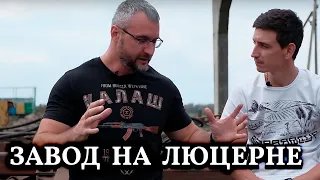 Бизнес на люцерне // Гранулированные корма для животноводства