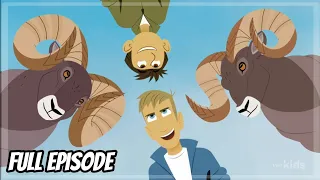 wild kratts- "Race to Goat Mountain" - full episode! - hd