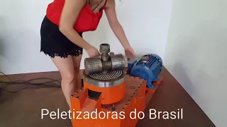 Peletizadoras do Brasil - Montagem #peletizadora #pelotizadora #pelet #pelete #pellet