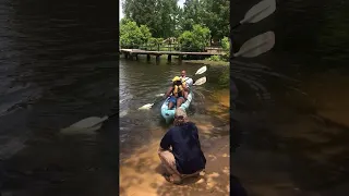 Father Daughter Kayak Trip Takes a Flip || ViralHog