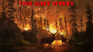 5 True Scary Stories to Keep You Up At Night (Vol. 16)