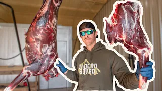 Aging Whitetail Deer Meat for 7 Days (Clean & Cook)