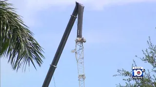 1 killed, 4 injured after crane falls on construction workers at Mercy Hospital in Coconut Grove