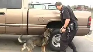 K9 Contraband sweep