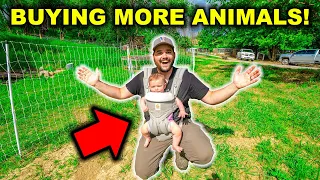 SURPRISING My BABY with NEW Backyard FARM Animals!!! (Don't Tell My Wife)