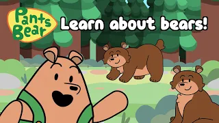 Facts About Bears | Science for Kids | Educational #PantsBear