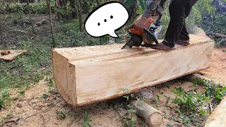 Nice Big Mango Tree Wood Sawing Skills With Chainsaw STIHL MS 070