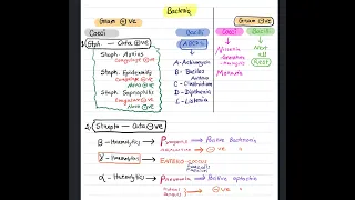 Bacterial classification Mnemonics