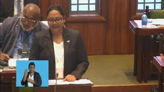 Fijian Minister for Industry and Trade delivers ministerial statement