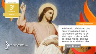 Evangelio del día 17 abril 2024 (Ésta es la voluntad de mi Padre)