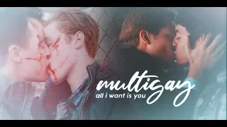 ► multigay | all i want is you