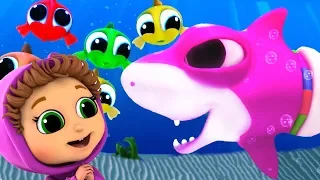 Baby Shark | Best 20 Minutes of Kids Songs