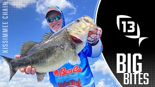 13 BIG BITES! Big bass were snapping on the Kissimmee Chain
