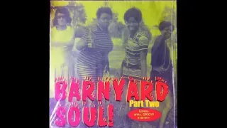 Various ‎– Barnyard Soul! 60s Greasy, Gritty, Lowdown Southern Soul & FUNK Music R&B Bands Part 2 LP