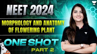 Morphology and Anatomy of Flowering Plants | Part 2 | NEET 2024 | Seep Pahuja