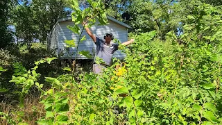 Crazy OVERGROWN Lawn Gets MAKEOVER - Hasn't Been MOWED All Year