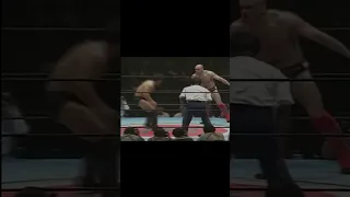 Bas Rutten Knockouts and Highlights #shorts