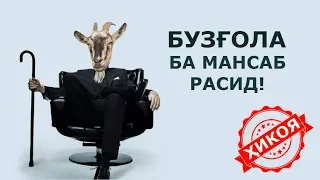 Ту агар ба мақому мансаб бирасӣ чихел рафтор хоҳӣ кард?