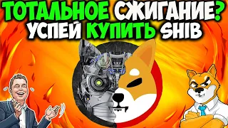 Разработчик Shiba Inu Сделает Масштабное Сжигание? - Ebay Принимает SHIB