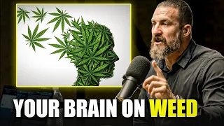 This Will Change Your View On CANNABIS - Neuroscientist