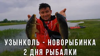 3 дня рыбалки на карпа | Узынколь vs Новорыбинка | Городские на рыбалке | 11 выпуск