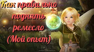 Black Desert / BD: Как правильно поднять любой вид Ремесла (Мой опыт)