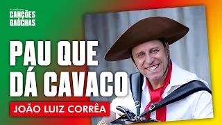 João Luiz Corrêa - Pau que dá Cavaco (Ao Vivo - DVD Música e Cultura Gaúcha Vol  1)