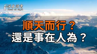 你相信命嗎？你会过上什么样的人生，早就命中注定，看完讓人恍然大悟！【深夜讀書】