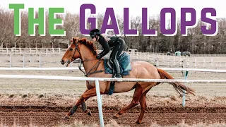 Do I have what it takes to be a JOCKEY?!  Horse Racing Part 2 | GIVE IT A GO | LilPetChannel