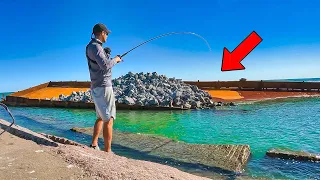 fishing a BARGE CRASH ON JETTIES for the fish everyone wants (live bait)