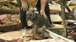 Okla. tornado survivor finds dog buried alive under rubble