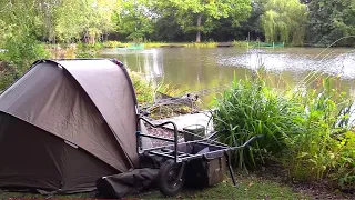 Old Man Solo Overnight Fishing & Camping Predator Lake (No time to Sleep!)