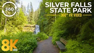 Experience the Beauty of Silver Falls State Park in 8K 360° VR - Virtual Relaxation