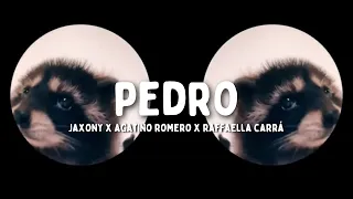 Pedro - Jaxomy x Agatino Romero x Raffaella Carrà tradução (PT/BR)