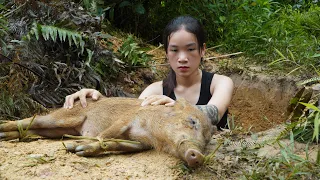 A Wild Boar Falls into a Trap - Determined to Tame Wild Boar | Survive Alone & Living Off Grid