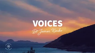 DT James & Kimbo - Voices (Lyrics)