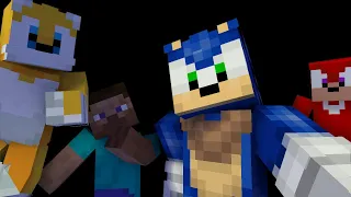 We go 1 on 1 With Sonic and Tails  Sonic 2 Interview - Minecraft