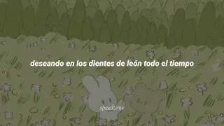 Ruth B - Dandelions (Speed up + sub. español)