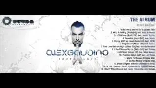 01. Alex Gaudino - I'm In Love (I Wanna Do It) (Vocal Edit)