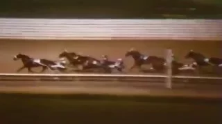 1981 Yonkers Raceway - Open Pace - Trenton Time