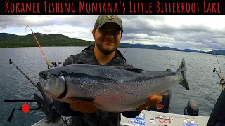 Bitterroot Lake Kokanee