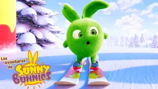 Las Aventuras de Sunny Bunnies | Congelar el estilo | Serie 5 | Dibujos para niños