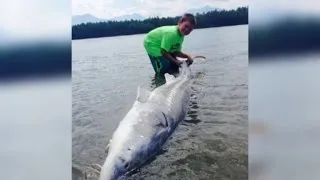 9-Year-Old Boy Catches a 600-Pound Monster Fish!