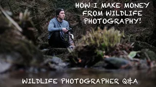 WILDLIFE PHOTOGRAPHER Q&A - WHY I STARTED & MAKING MONEY FROM WILDLIFE PHOTOGRAPHY.