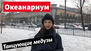 Единственный Океанариум в Петербурге | Сходи Посмотри на танцующих медуз. Рыбки, скаты в океанариуме