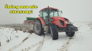 🚜Prace polowe w połowie grudnia🚜Zima zaskoczyła🚜ZETOR FORTERRA 95🚜