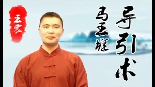 健身气功-马王堆导引术 （王震）