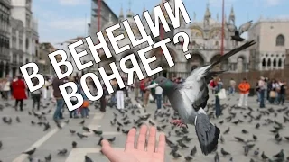 В Венеции воняет?  Итальянцы не любят русских? КРАСИВАЯ ИТАЛИЯ!